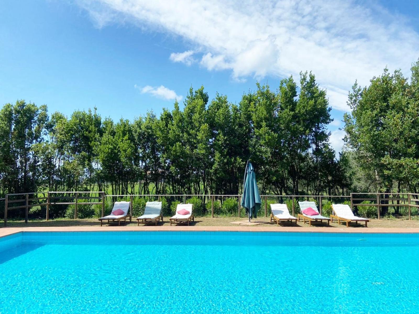 切奇纳Relais Casale Il Poggetto - Olivo 2 By Zoom In Earth公寓 外观 照片
